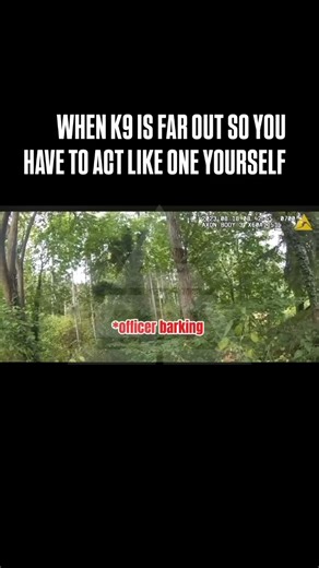 416K views · 11K reactions | When Your K9 Unit Is Too Far Out, You Make The Best of It LOL | Cornerstone Justice | Facebook