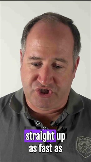 The One Trick That Saves Your Drone From Bird Attacks #shorts #drone #tips