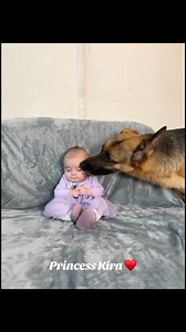 194K views · 2.9K reactions | Both are special 殺#germanshepherd...