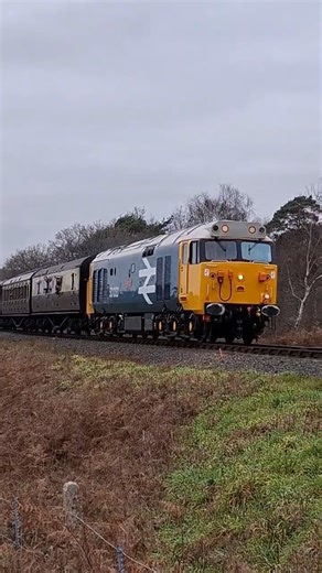 BR Class 50033 'Glorious' at Rifle Range for the SVR diesel day #gb #uk #svr #diesel #train #class50