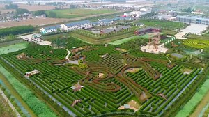 VIDEO: The Guniness Book Gives An Inside Look At The World's Largest Hedge Maze