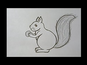 How to draw squirrel| easy squirrel drawing for beginners step by step