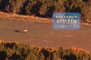 Few People Could Ever Make Any of These Long-Range Shots