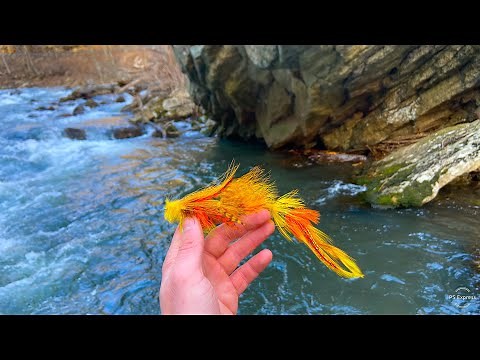 Fly Fishing for the most Beautiful Brown Trout I've Ever Seen! (Streamer Time!)