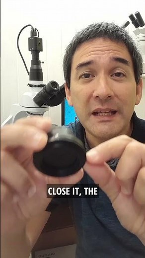 What are the functions of a microscope condenser?
