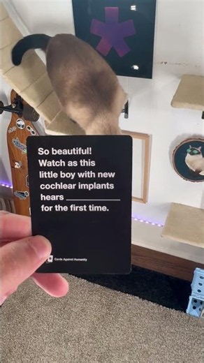 Cards Against Humanity