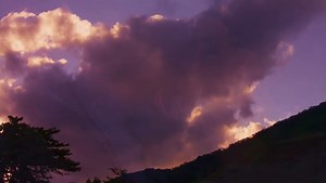 As Núpcias Dracula (2018) [Feliratos]