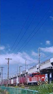 貨物列車🦀ブレーキ音🎵近くで聞いてみる😲【HD300-24】 2026/04 #ハイブリッド #機関車 #コンテナ #鉄道