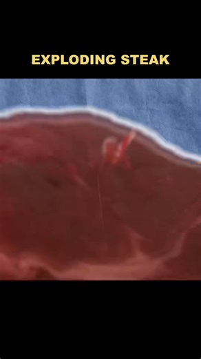 Exploding Steak #test #tiktok #fyp #viralvideos #mythbusters #science #explained #livemusic | Myth Busting Episodes