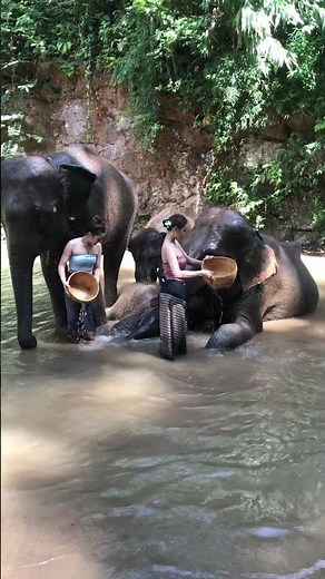 Asia Exotic Traditional Bathing with Elephants