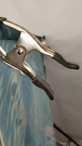 Fall Backdrop, Woods, Outdoor Photo Background, Autumn Colors, Red, Green, Serene - Etsy