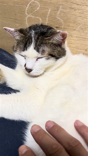 岐阜暴威はSNSの男奴隷として儲かってる