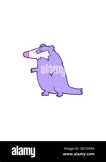 splitting effect animation of a badger Stock Video Footage - Alamy