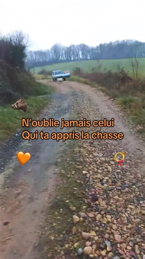 Vidéos de chasse (@chasse.3) avec son original - El Epistolaro