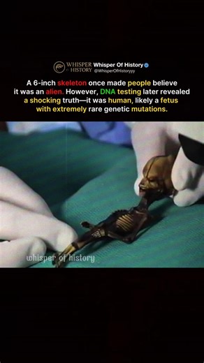 A 6-Inch “Alien” Skeleton… That Wasn’t Alien #shorts