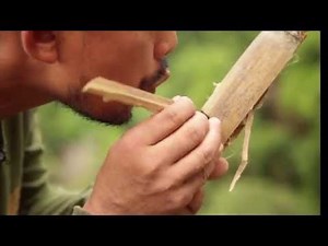 JEST Camp Official AVP