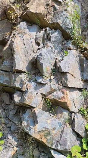 🐟🐟 IDÉE DE DÉCOR INSPIRÉ PAR LA NATURE 🐟🐟 #terrario #nature #terrarium #aquarium #plants #fish #rock