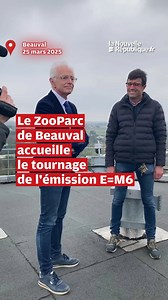 4.5K views · 31 reactions | VIDÉO. Loir-et-Cher : le ZooParc de Beauval accueille le tournage de l'émission E=M6 L’émission de télévision E=M6, présentée par Mac Lesggy, était en tournage mardi 25 mars 2025 au ZooParc de Beauval. L’épisode du magazine scientifique sera diffusé dimanche 25 mai, avec le dôme équatorial en fil rouge. >> Un aperçu du tournage, en vidéo  ➡️ https://l.lanouvellerepublique.fr/5mW | La Nouvelle République Loir-et-Cher | Facebook