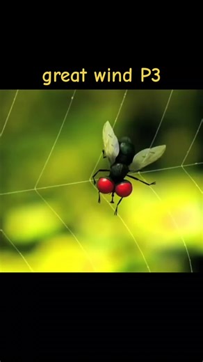 Funny insect P1 #funnyinsect #monuscule #insects #3dinsects #funn