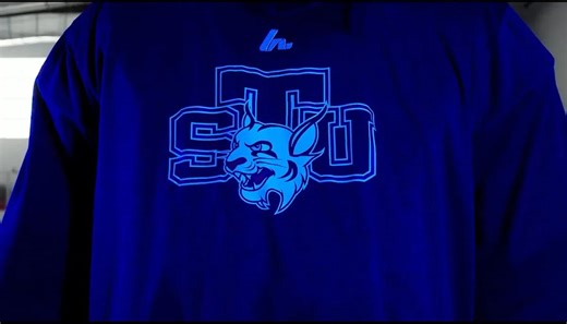 South Florida's St. Thomas University launching hockey program that will debut in 2026