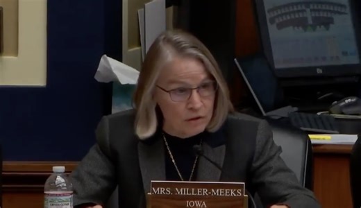 Miller-Meeks warns power grid faces attacks from hackers and domestic extremists