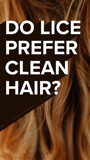 Do lice prefer clean hair?