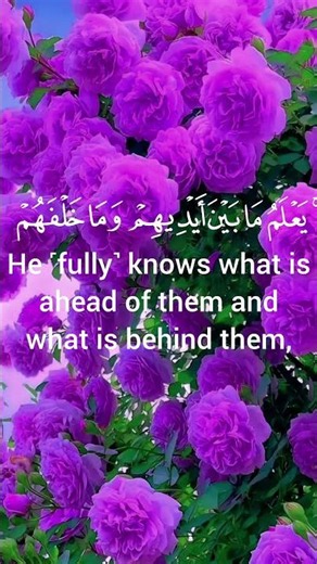 AYATUL KURSI | ENGLISH TRANSLATION