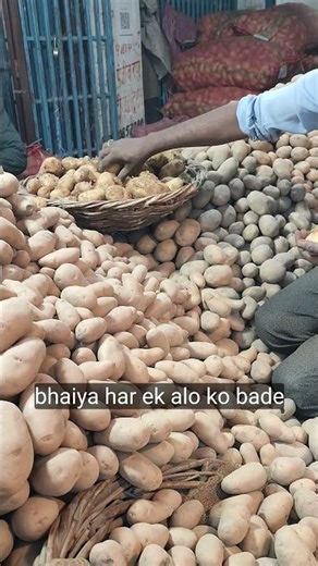 आलू का चयन #shorts