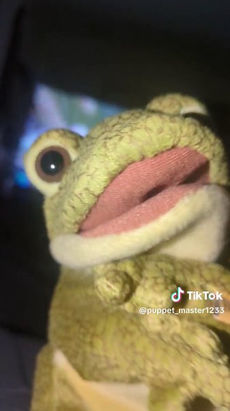 pt2 #funnyy #frogpuppet #fyp #viral #puppet #frog #puppets