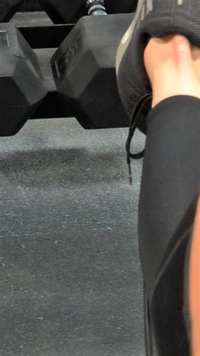 Pitbull Training on Reels