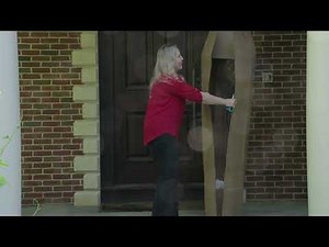 Unboxing: Lucy Althea Rose of Sharon Tree Form