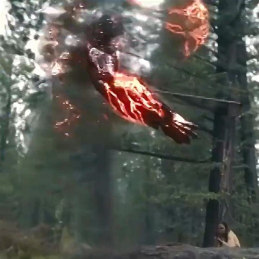 Predator 5 Prey #action#thriller #film#fantasy#shorts