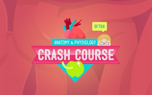 【生肉】十分钟速成课 解刨学与生理学 | Crash Course Anatomy & Physiology