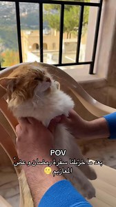 Memes Station on Reels