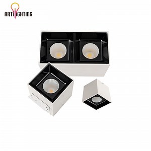 [Hot Item] Box Surface Mounted Spotlight Single Double Heads Squared Install Anti-Glare Ceiling Lighting for Interior Exhibition Hall Commerical