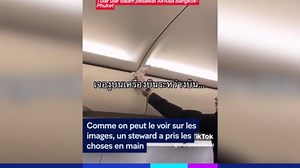 Un serpent surgit dans la cabine de l'avion en plein vol