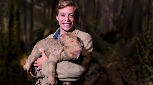 Checker Reportagen: Der Dino-Check