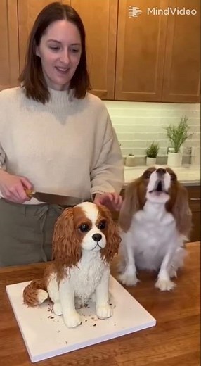 Pets React to a Cake That Looks Just Like Them! Must-See Hilarious Dog Howl & More