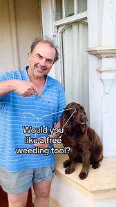 How to make a wire hoe or weeder. It’s only suitable for light weeding and small, annual emerging weeds in light soil or compost. You will need something more substantial for larger weeds and perennial weeds #recycle #gardeningtips #weeding #gardening #gardeninghacks | Simon Akeroyd Garden Writer