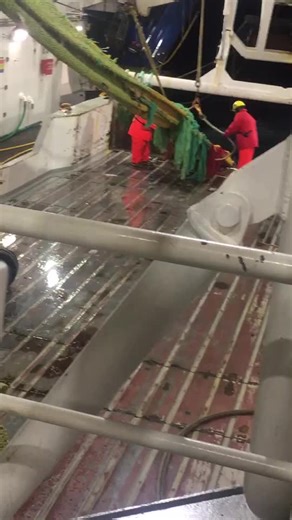 Grand Banks Fishing Adventures: Sea Shanties and Offshore Life