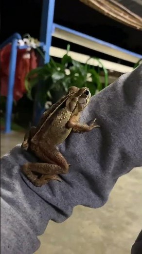 Be brave! Stay Wild! #bravewilderness #coyotepeterson #sofiakidsshow #shorts