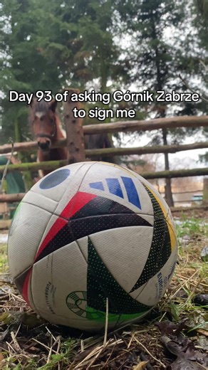 Day 93: My Journey to Join Górnik Zabrze