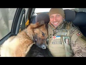 Police Dogs Off Duty Are Just Big Babies 😁 Funny Dog Videos 2025