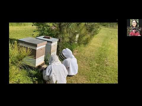 The History of Stevens Bee Co: Building a sideline bee breeding operation with Cory Stevens