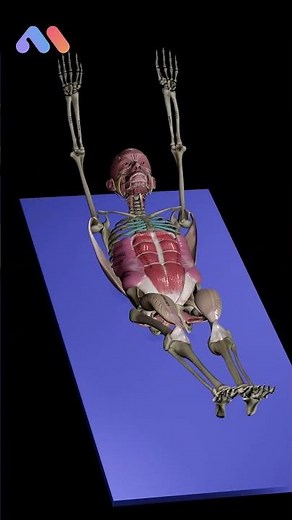 Want to improve your Kipping? Work on the hollow body and the Superman hold! 💪