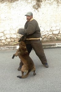 Mostafa Mismar on Reels