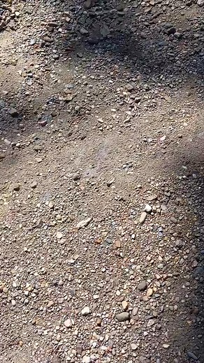 Longstrides find a native american artifact in an Iowa river.. (Arrowhead) #river #arrowheadhunting #artifacts #arrowheads | Bison Bison Paleo Fossils