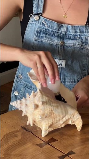 How I made a seashell lamp with conch shells #diyhome