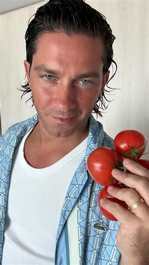 5.2K views · 162 reactions |  Vegetarian Stuffed tomatoes  . Share if you like it ❤️ . #vegeterian #easyrecipes #healthyrecipes | Gustavo Viglio | Facebook