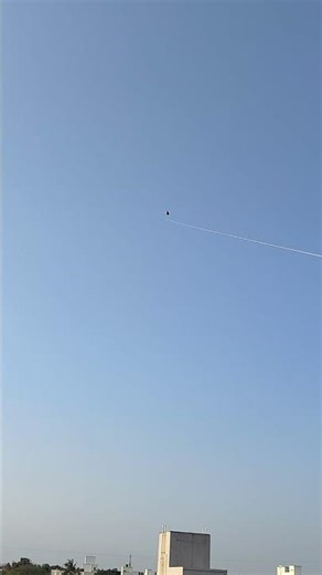 The little king...learning to fly a kite... #lifeisbutadream #comedy #ihavethisthingwithplants